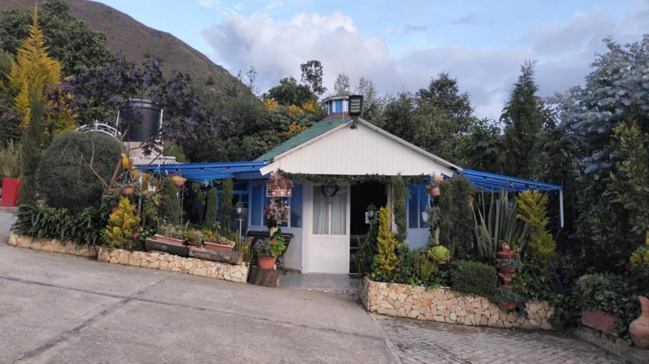 Villa Evelia อกิตาเนีย ภายนอก รูปภาพ