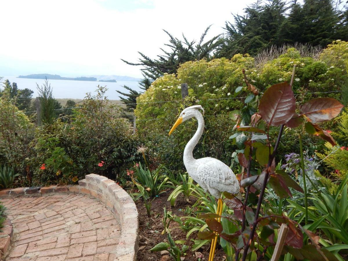 Villa Evelia อกิตาเนีย ภายนอก รูปภาพ